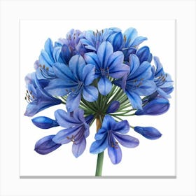 Blue Geranium Canvas Print