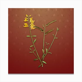 Vintage Spanish Broom Botanical on Falu Red Pattern n.0675 Canvas Print