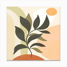 Plant In A Pot Canvas Print