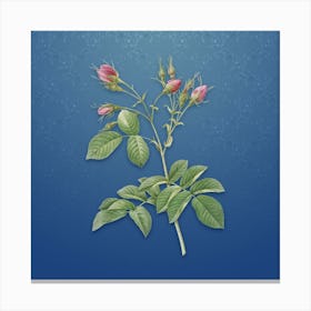Vintage Crimson Evrat's Rose Botanical on Bahama Blue Pattern Canvas Print