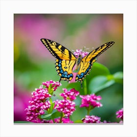 Butterfly On Pink Flowers 2 Canvas Print