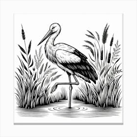 Line Art stork Canvas Print