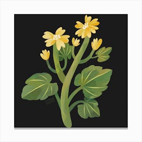 Yellow Wildflower Square Canvas Print