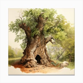 Tree In The Forest Canvas Print