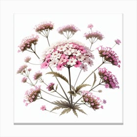 Flower of Verbena 2 Canvas Print