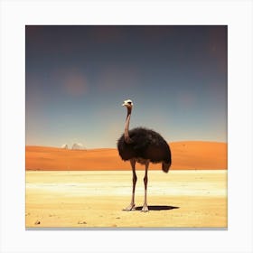 Ostrich In The Desert Canvas Print