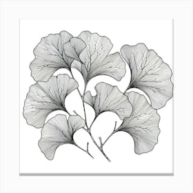 Line Art gingko leaves Canvas Print