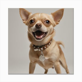 Chihuahua Canvas Print