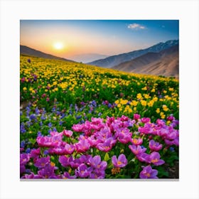 Flowers In The Mountains Canvas Print