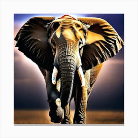 Elephant Wallpapers Canvas Print