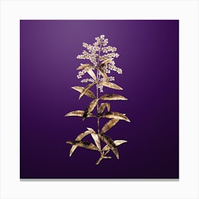 Gold Botanical Lemon Verbena Branch on Royal Purple Canvas Print