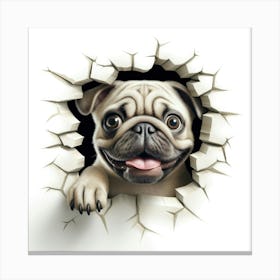 Pug Peeking Through A Hole 2 Canvas Print