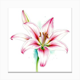 Pink Lily 9 Canvas Print