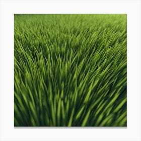 Green Grass 41 Canvas Print