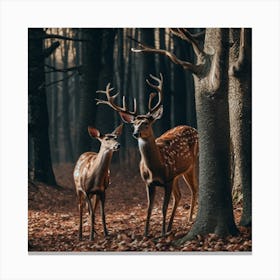 Deer In The Forest 29 Canvas Print