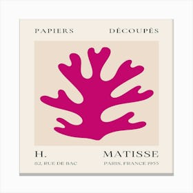 Matisse (19) Canvas Print