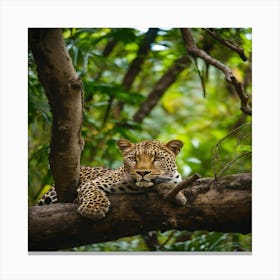 Leopard Resting In Tree Canvas Print