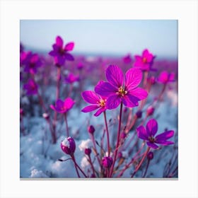 Purple Flowers In The Snow 1 Leinwandbild