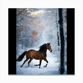 Horse In The Snow 1 Canvas Print