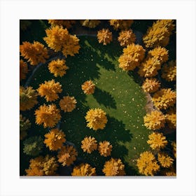 Aerial View Of Autumn Trees 1 Canvas Print