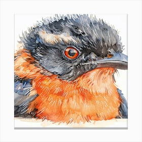 Robin Watercolor Painting Canvas Print