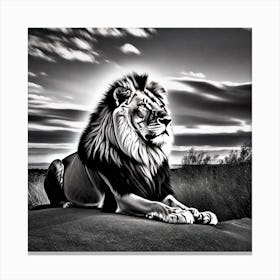 Lion In Black And White Canvas Print