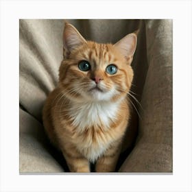 Orange Tabby Cat 1 Canvas Print