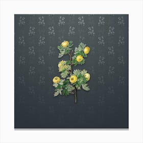 Vintage Tansy Leaf Hawthorn Flower Botanical on Slate Gray Pattern Canvas Print