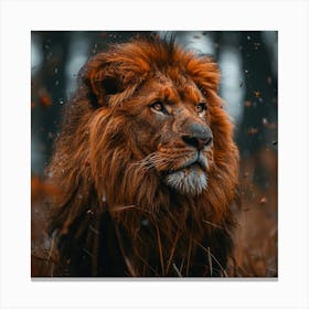 Lion In The Forest 1 Canvas Print