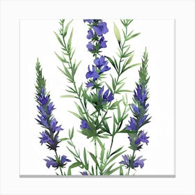 Larkspur Canvas Print