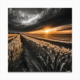 Sunset In A Wheat Field 8 Canvas Print