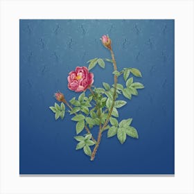 Vintage Moss Rose Botanical on Bahama Blue Pattern n.2016 Canvas Print