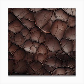 Cracked Leather Texture Canvas Print