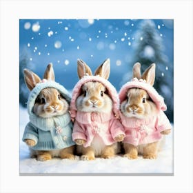 Three Rabbits In Winter Clothes Canvas Print