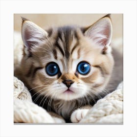 cute cat 1 Canvas Print