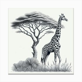 Line Art giraffe 3 Canvas Print