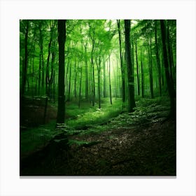 Firefly Deep Forest Green Rich, Dark Greens For A Moody Forest Atmosphere 1 Leinwandbild