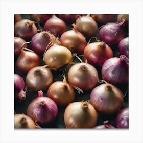 Onions On A Black Background Canvas Print