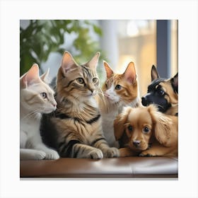 Group Of Cats And Dogs Canvas Print