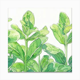 Sage Leaf 1 Canvas Print