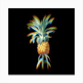 Prism Shift Pineapple Botanical Illustration on Black n.0083 Canvas Print