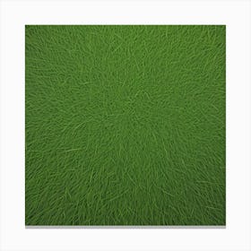 Grass Background 18 Canvas Print