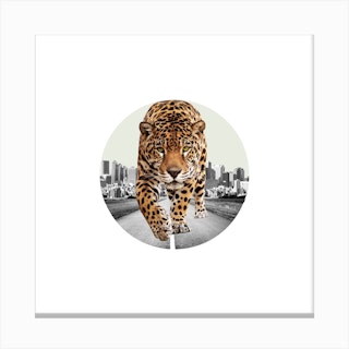 Leopard Collage Square Canvas Print