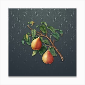 Vintage Wild European Pear Botanical on Slate Gray Pattern n.0607 Canvas Print