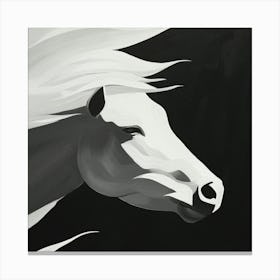 White Horse Canvas Print