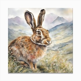 Hare Senses Spring in Scottish Mountains Canvas Print