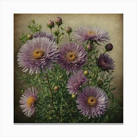 Aster Prent Art Canvas Print