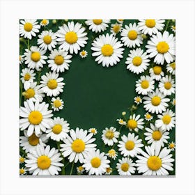 Daisies On Green Background Canvas Print