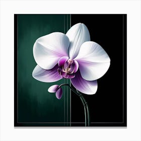 "Solitude's Bloom"  A striking orchid stands out with its white and purple petals against a dark backdrop, its elegance undeniable and alluring.  Discover the essence of 'Solitude's Bloom', where the stark beauty of a solitary orchid captures the gaze and calms the spirit. This piece is a testament to finding strength and beauty in solitude, making it a compelling addition to any collection for those who appreciate the profound grace of nature. Canvas Print