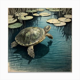 Turtle In Water 1 Canvas Print